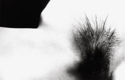 tenaciouschaosturtle-ad805251:Ralph Gibson, Haiku 1983-1988