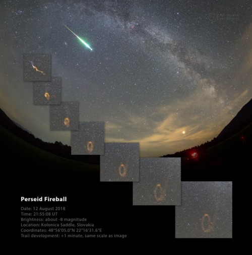 Porn fuckyeahfluiddynamics:During the recent Perseid photos