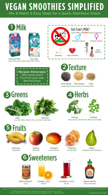 pitter–patter:Smoothie Infographic by jaxcullengfx