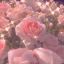 pinkgardensystem