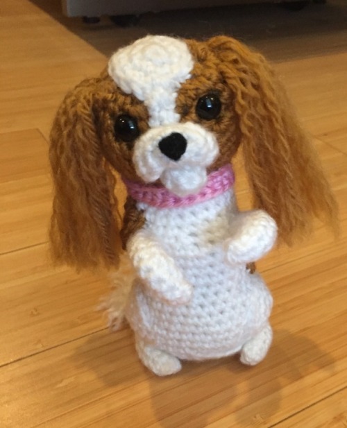 Amigurumi Cavalier King Charles Spaniel designed and crocheted by me :)