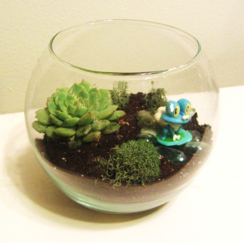 chekhovandowl: Some more poke-terrarium things.  I swear we don’t have an obsession&helli