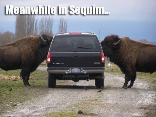 Haha stole this from the Washington Memes fb page . Love living next to the game