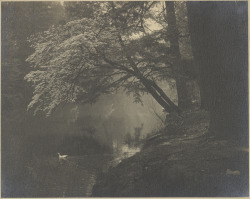 dame-de-pique:John G. Bullock - Swan on a stream, late 19th - early 20th century