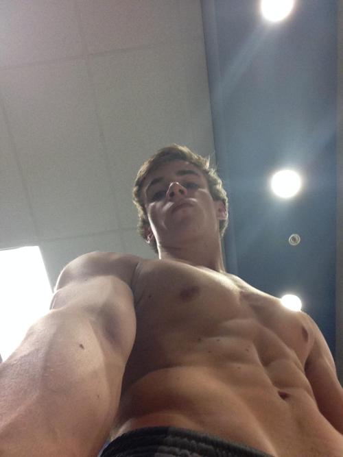 fickkolben:   Stallion (19)  | Straight | U.S. More of him here. 
