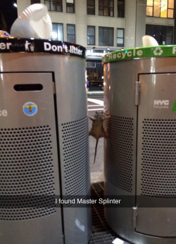 unphazedcat:  tastefullyoffensive:  (photo via jakealc1)  rats in nyc are just on a whole nother level