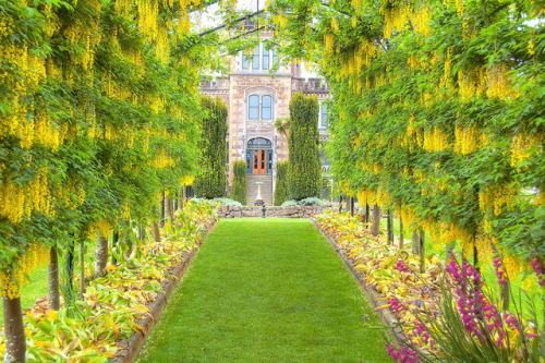 The gardens of Larnach Castle in Dunedin, New Zealand (by travlinman43).