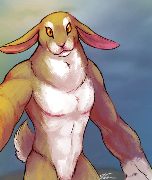 catmander-hestia:aight but what if norn could become the hare(in our au solvarus can and the kicks c