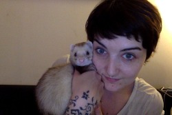 rabbureblogs:  stringmouse:  dude time. He liked the sound the camera makes.  Look at these cuties!   ferrets always get the chicks~ &lt;3