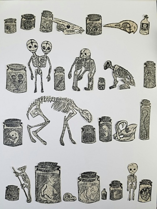 All of the hand carved stamp/relief print skulls skeletons and wet specimens I have made so far make