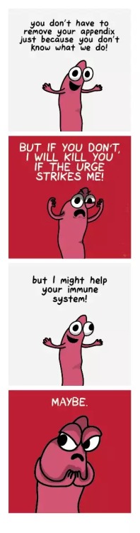 haha-woww:  hilarioushumorfromouterspace:  Check out this blog if you enjoy wasting your life!  haha…. woww….