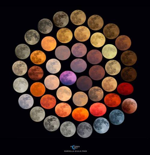 blondebrainpower:  Colors of the Moon Photographer: Marcella Giulia Pace Details: Most colorful full moons over 10 years