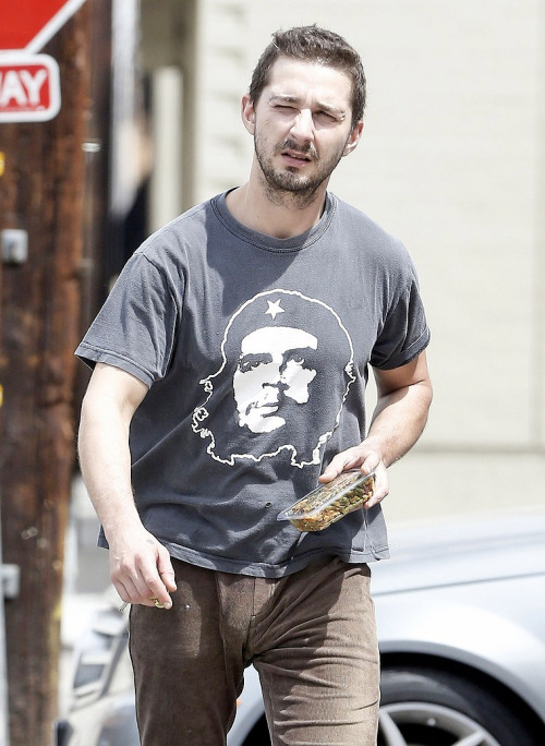 Shia Labeouf’s bulge.