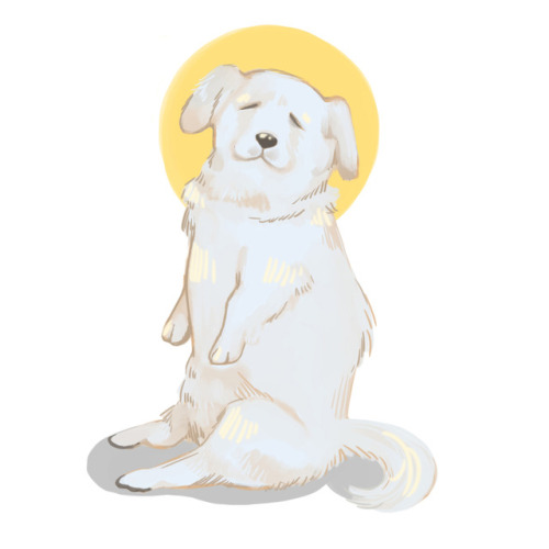 bhalobear: you have been blessed