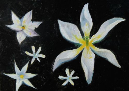 More characters for the video! Star Flowers, oil on aluminum. #contemporaryart #floralpatterns #star