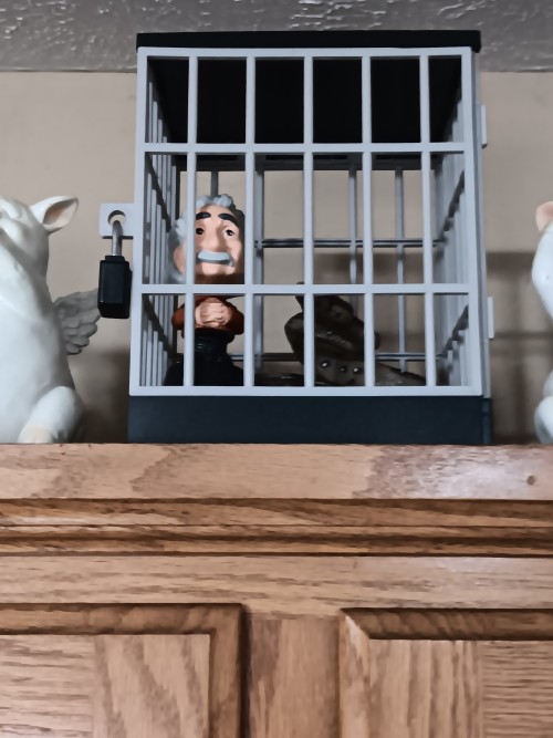 At My Dad's House And I See He's Put A Bobblehead Albert Einstein In A Cage With A Rubber Snake.