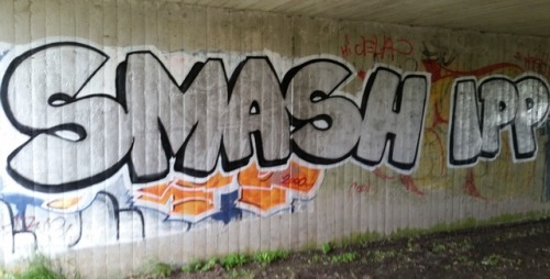 ’Smash IPP’ graffiti in Leeds, UK, in the context of the fortnight of action against IPP sente