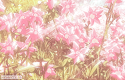 tsukiyma:  Eren, why are you crying? 