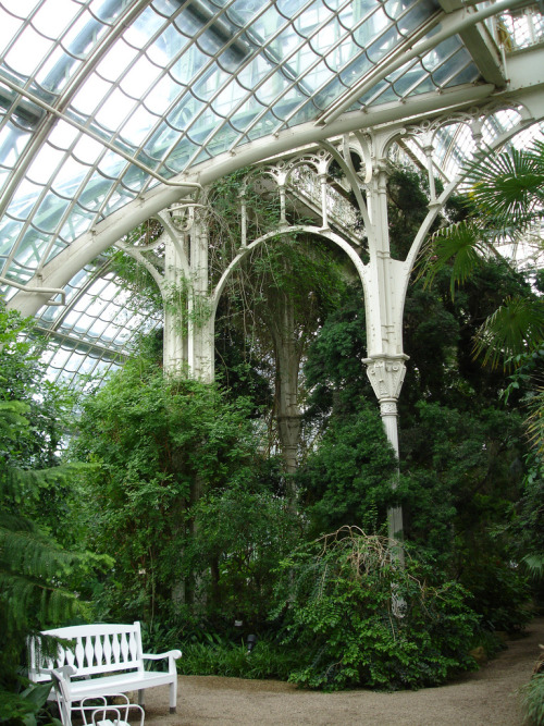 oviz:The Palmenhaus Schönbrunn, Vienna, Austria