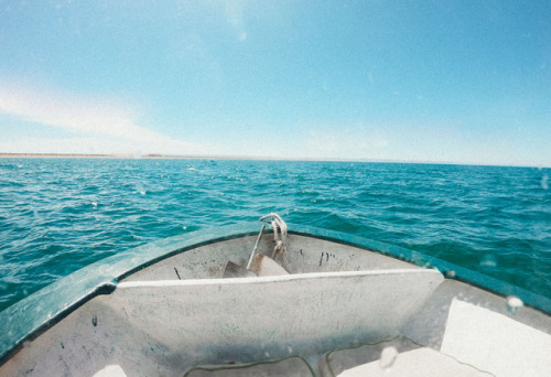 summersenstations: out at sea in Mexico. April 2018