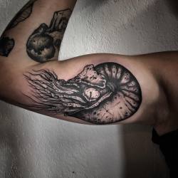 1337tattoos:  barbe rousse