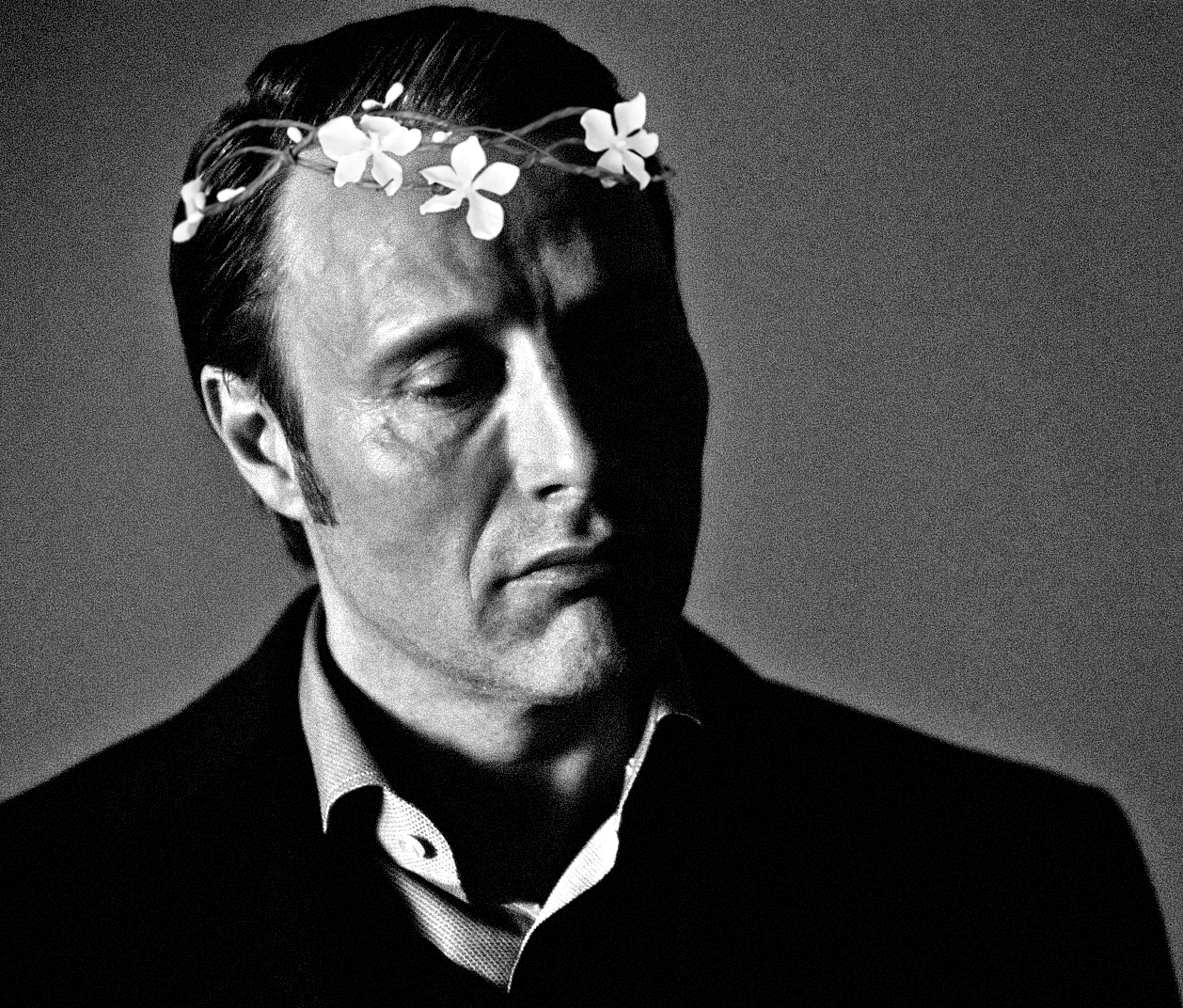 hannibalcrackers:  More Crowns for my babies 