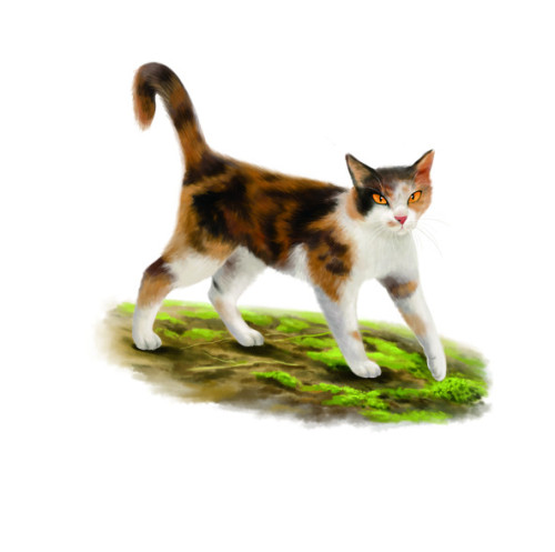 disabledwarriors: Sorreltail has scoliosis[ID: a painting of Sorreltail (tortoiseshell and white cat