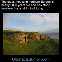 ultrafacts:  The Knap of Howar    (Fact Source) for more facts, follow Ultrafacts   