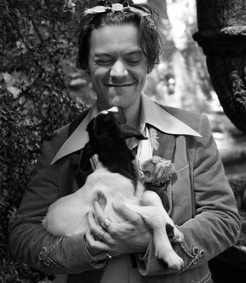 harrystylesdaily:  Harry Styles returns in a new Gucci Tailoring campaign shot by Glen Luchford in the gardens of Villa Lante outside of Rome. 