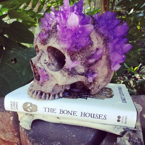 Isn’t this skull just the most amazing thing ever? I. Am. Obsessed!