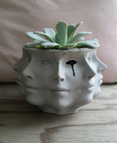 cummy–eyelids: 🌿Check out my etsy shop for some unique creepycute planters! https://www.etsy.com/shop/PastelAlienShop My posts / Etsy shop / Instagram 