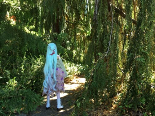 Miku at the Oregon Gardens in Silverton, Oregon.