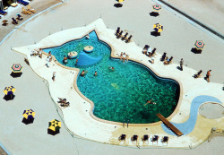 vintagegal:  A swimming pool in the shape of a cat at the Fontainebleau Hotel, Miami, c. 1955. Photographed by Slim Aarons 