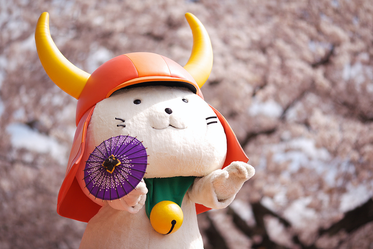 たくさんのご当地キャラ Here S Hikonyan S Address For New Year S