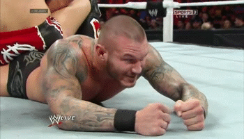 Hot submission holds by Daniel Bryan and Randy Orton. The moans both these guys were