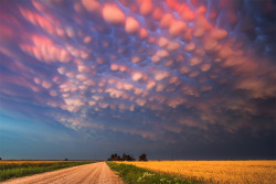 itscolossal:  Severe Skies: The Photography of Storm Chaser Mike Hollingshead  terrifying