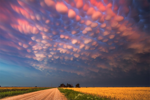 identifyassexy:  opticallyaroused:Severe Skies: The Photography of Storm Chaser Mike Hollingshead   dang