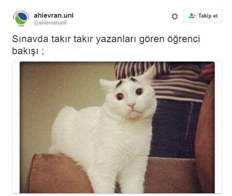 Sınavda takır takır...