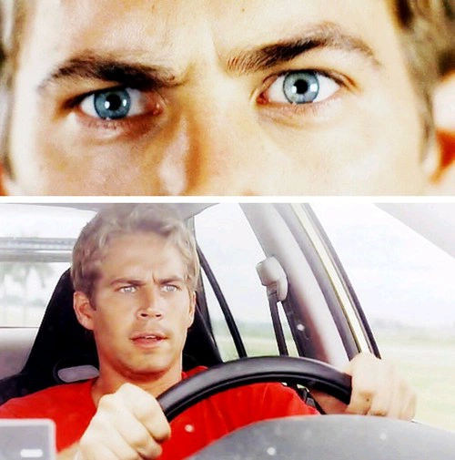 paul-walker-4ever - Paul Walker immortal