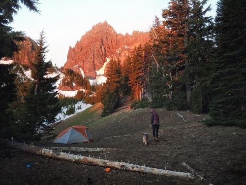 Spent the weekend camping below Three Fingered Jack, OR.