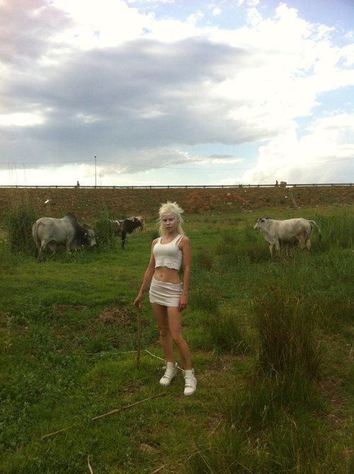 fokjayolandi:  and da bull said, ‘MOO BITCH! GET OUT DA WAY!’ #Soweto2013