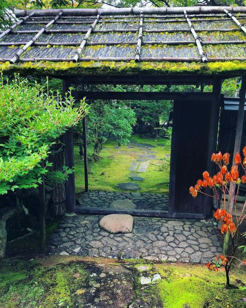 山水園庭園 [ 山口県山口市 ] ② Sansuien Garden, Yamaguchi ーー京都の数寄屋師 #笛吹嘉一郎 と庭師 #後藤重栄 によって茶室・庭園が手掛けられた湯田温泉♨️の文化財宿