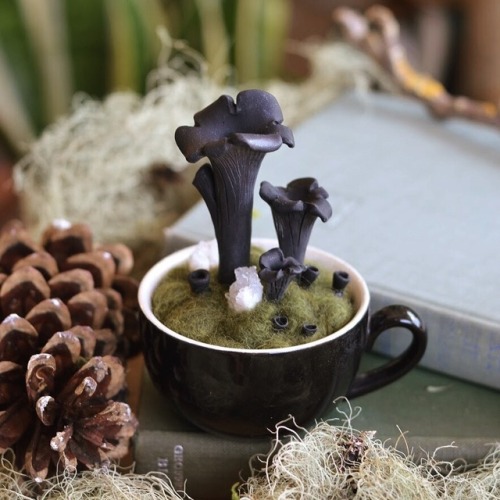 glittertomb:pocketmoss has me crying
