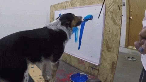sixpenceee:  The border collie Jumpy wrote his name on a board by following the baton