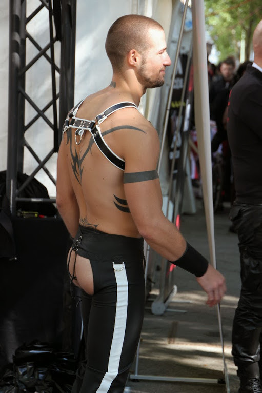 Lifestyles of the Fun and Kinky