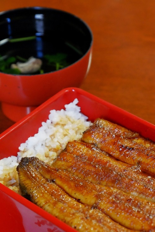 今年は二回、土用の丑の日 a day of the ox in midsummer. 「broiled eels served with rice」