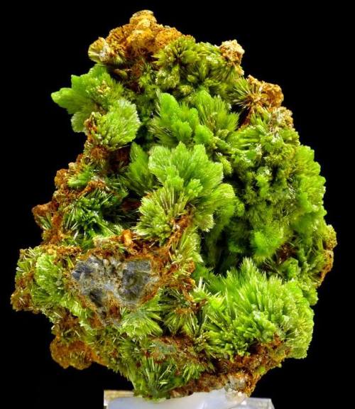 geologyin-blog: Aesthetic specimen of pyromorphite crystals from Saint-Salvy Mine, Occitanie, France