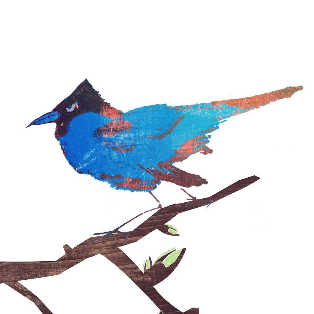 Doing some illustrations for a kid’s picture book #kiddielit #picturebook #birdsandbugs (at Brinnon, Washington)
https://www.instagram.com/p/CI_ilvAD-55/?igshid=qwlrh6qtyp5r