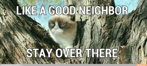 madisoncarlygrow:  Hahahahaha. LMAO.