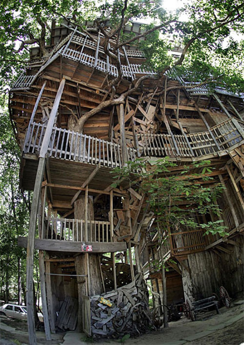 sixpenceee:    Horace Burgess’s Treehouse     It took Horace Burgess 14 years of construction to build this 30 meter high tree house. It’s located in Tennessee. The tree house was closed by the state in 2012 for fire code violations.  (Source 1, Source